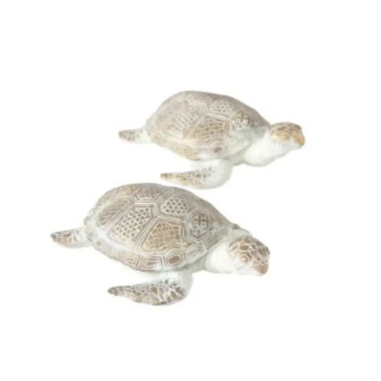 Décorations de tortues sous toutes ses formes proche de Béthune , Béthune, CARPE DIEM