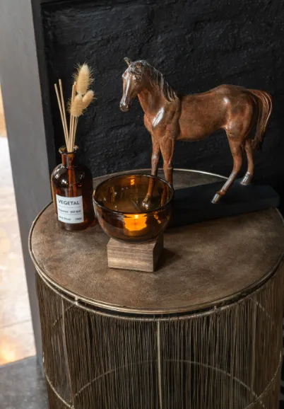 🐴✨Quand la passion du cheval illumine votre intérieur aux alentours de Béthune🐴✨, Béthune, CARPE DIEM